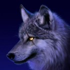 Avatar of wolf