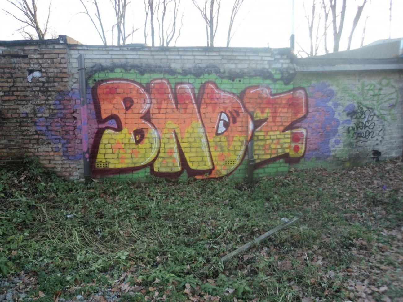 Photo #19405 by BNDCREW