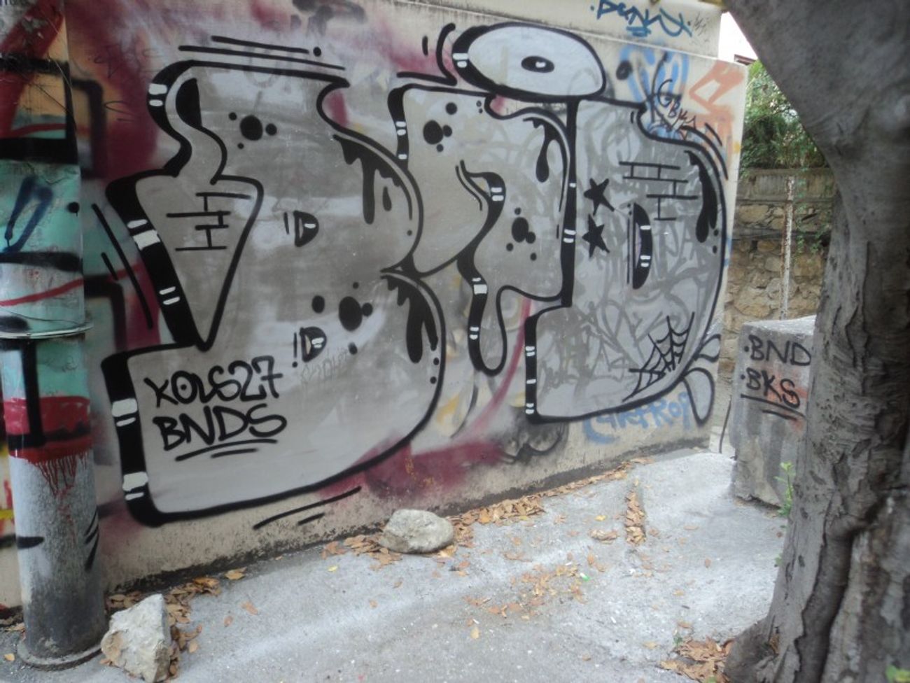 Photo #21138 by BNDCREW