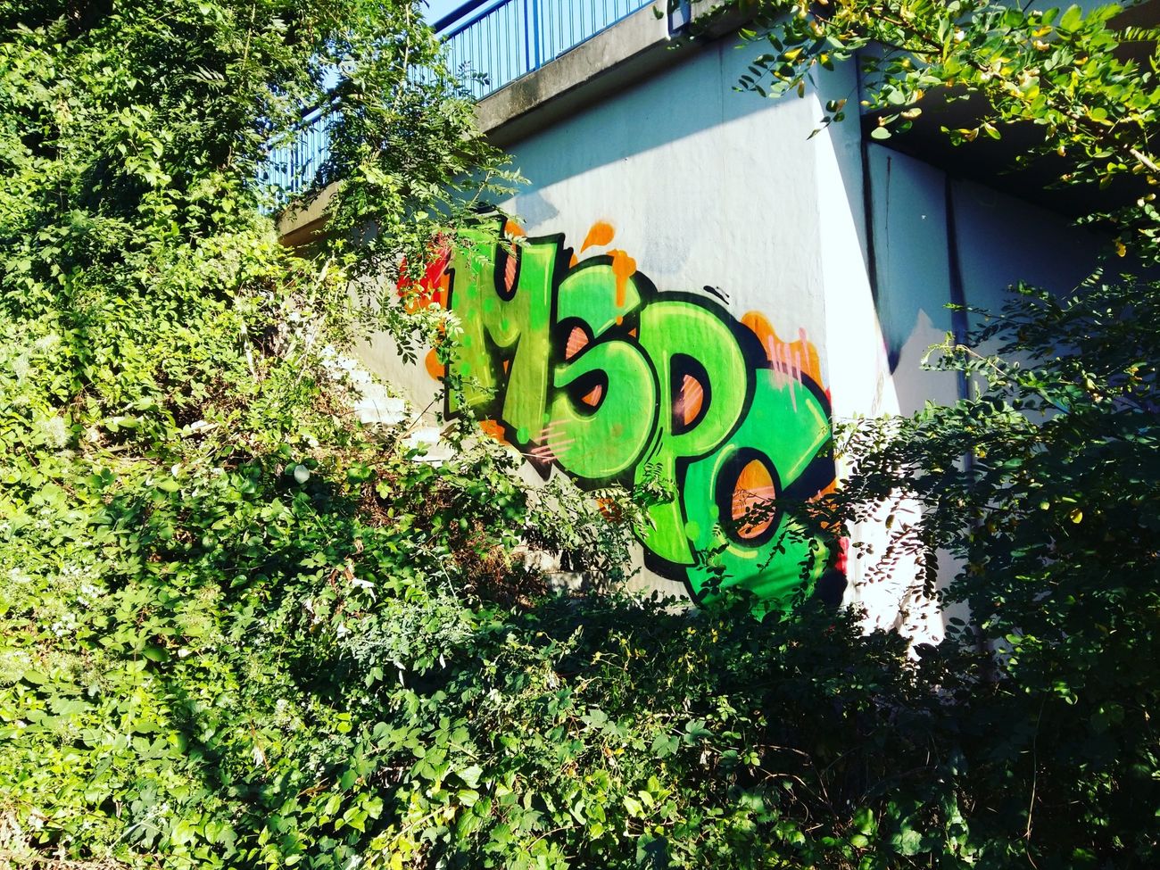 Photo #196971 by SBGraffiti