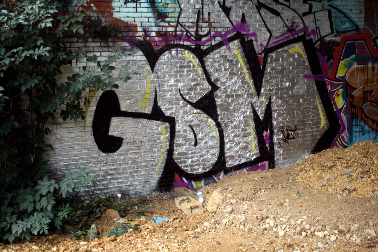 Photo #166723 by gsmcrew