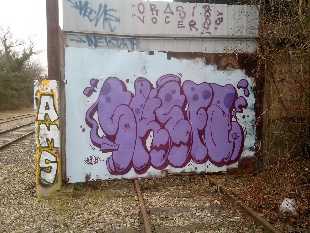 Photo #180811 by strasbourgraffiti