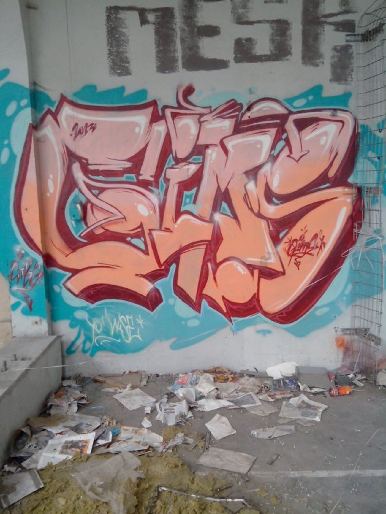 Photo #87927 by strasbourgraffiti