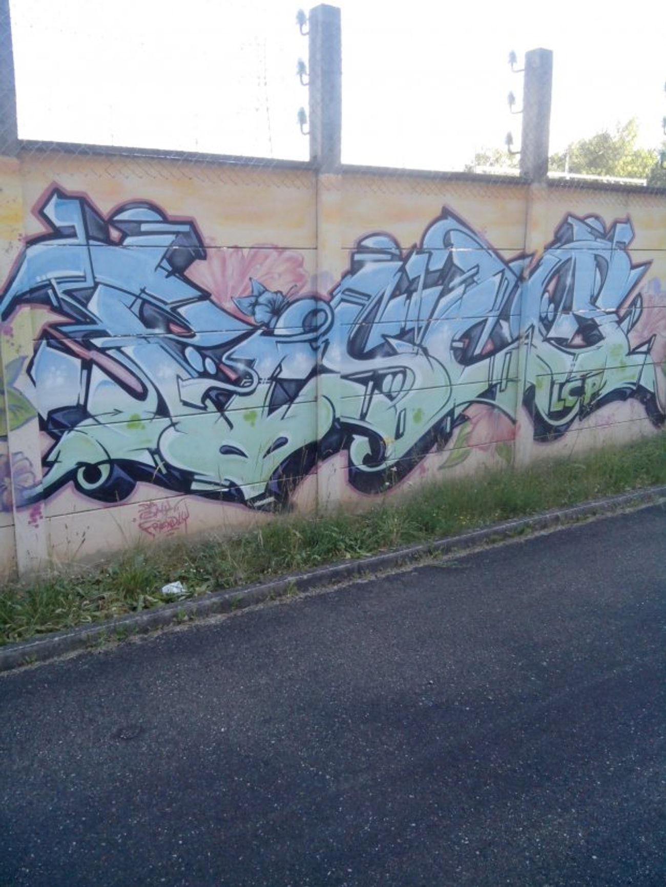 Photo #101995 by strasbourgraffiti