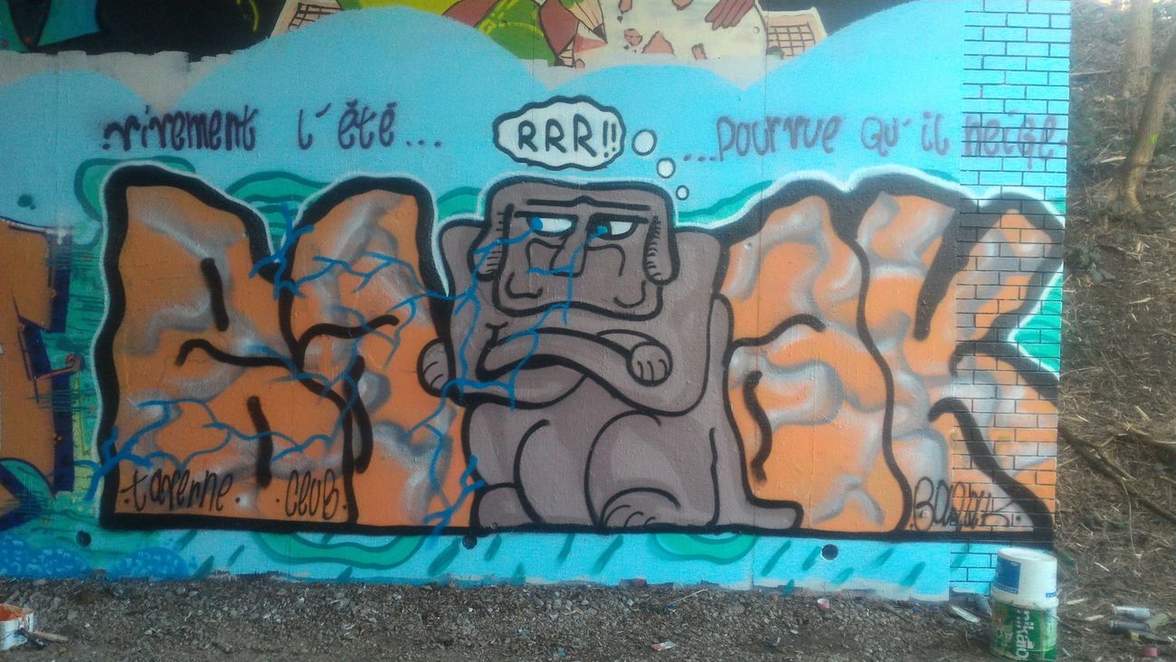 Photo #203604 by strasbourgraffiti