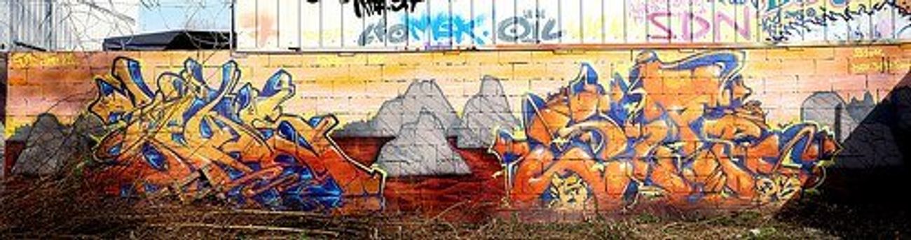 Photo #150240 by strasbourgraffiti