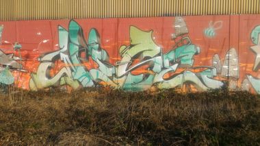 Photo #205459 by strasbourgraffiti