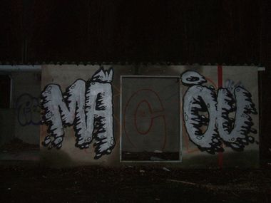 Photo #86737 by strasbourgraffiti