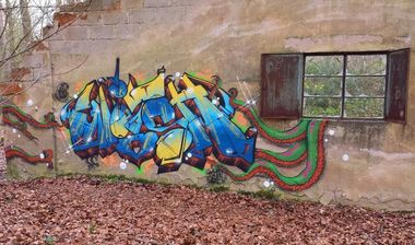 Photo #98968 by strasbourgraffiti